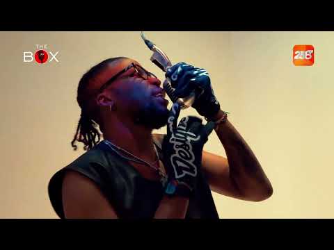 VIPER TOY -  HORA DO SHOW | THE BOX