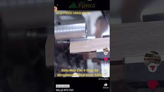 Khả năng gia công tuyệt vòi của Máy Cnc 4 trục 16 dao Woodmaster