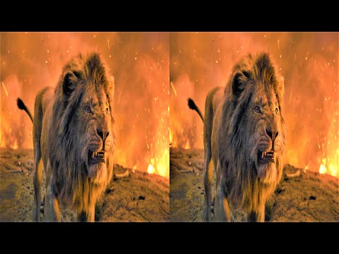 3D Clip: Pride fights Hyenas• The Lion King • 5.1 Audio