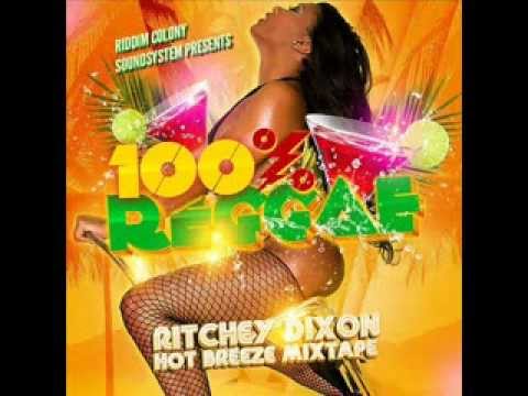 100% REGGAE MIX /BEST OF 2014/ HOT BREEZE MIX by Ritchey Dixon