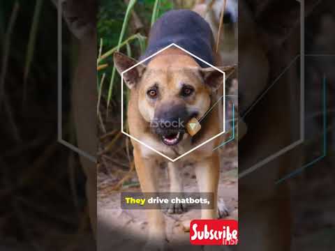 Neural Networks Will CHANGE AI Forever #ai #shortvideo #shorts #shorts