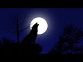 Fishkëllima Western E Ujkut Të Cërrikut | Këngë Të Forta