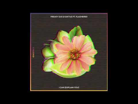 Freaky DJs & KaktuZ ft. Flashbird - I Can