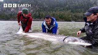 Battle To Catch Monster 6ft 9in 'Fish Of A Lifetime' | Fishing Impossible | The Travel Edit