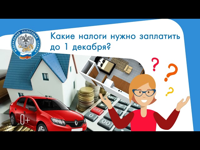 Какие налоги нужно заплатить до 1 декабря?