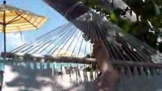 preview picture of video 'Morning in Hammock in Whitehouse, Jamaica'