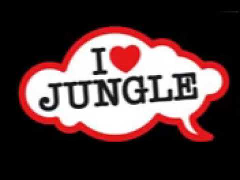 M Beat feat General Levy - Incredible (re new mix)