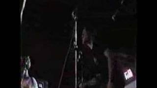 The Hippos - Forget the World (live)