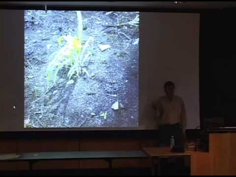 Charles C  Mann  America Before Columbus SD