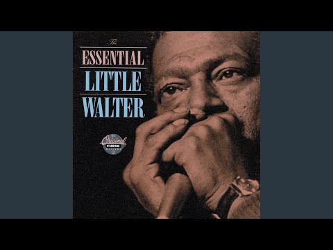 Walkin On - Little Walter