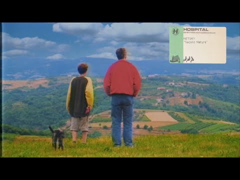 Netsky - Second Nature Album Minimix