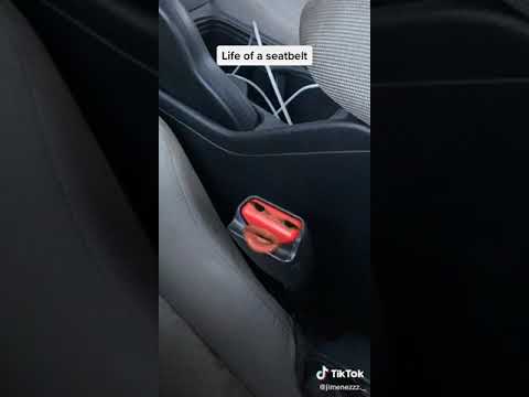 Life of a seat belt PT. 2