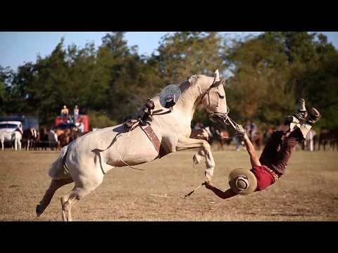 Por los pueblos - Capitulo 8 Cacique Ariacaiquín "Fiesta de la Jineteada" (2017)