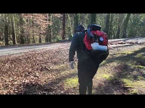 Redmax EBZ8560 in ACTION!