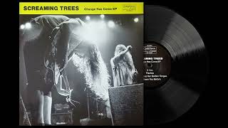 Screaming Trees - I&#39;ve Seen You Before