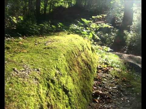 Evbointh - Sonar (Cut from Blanc Remix)