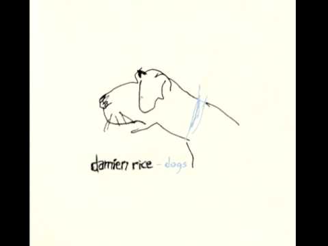 Damien Rice - Elephant (Live at Wisseloord Studios)