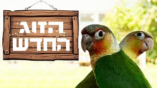עדכון מבעלי הכנף במשק - מי הזוג החדש שמצטרף לחבורה