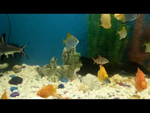 Vivekananda nursing home