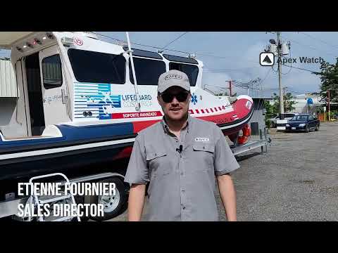 Cabin Boat - Apex A-33 Resume