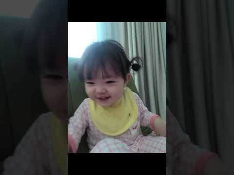 아이콘