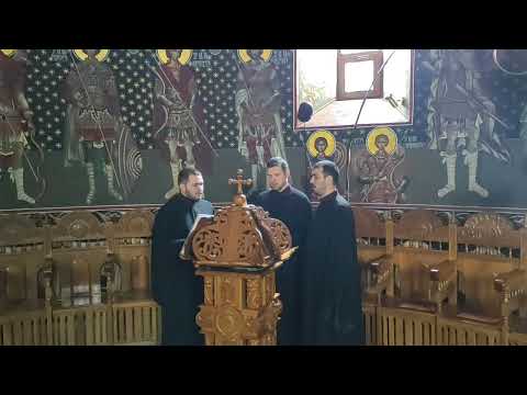Grupul Psaltic "Macarie Ieromonahul " - Heruvic Duminical de Theodor Fokaeos Glas 7#heruvic