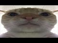 Miley Cyrus Party In The U S A Pluggnb Remix Willare Slowed Reverb