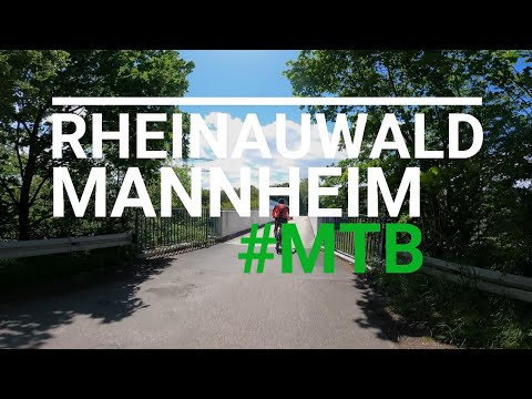 Mountainbike MTV GoPro Video - Rheinauer Wald Mannheim / Drum and Bass Music
