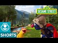 Sesame Street: Super Grover Helps a Duck to a Party | Super Grover 2.0