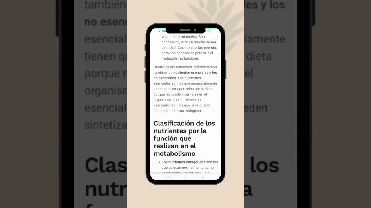 Rocío Maraver Romero-16