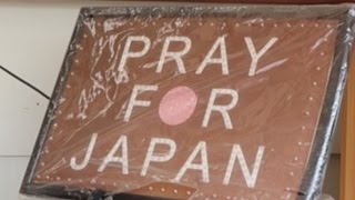 The only real connection you'll ever make in Japan | Life in Japan