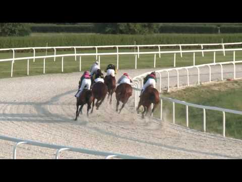 2017.06.02. 1. futam -   NÉMETH FERENC EMLÉKKUPA II. FUTAMA HENDIKEP (V/b.) (szintetikus pálya)