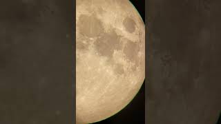Moon at 99% illumination on Sept 9th! #moon #canada #nasa #newbrunswick #celestron #spacex