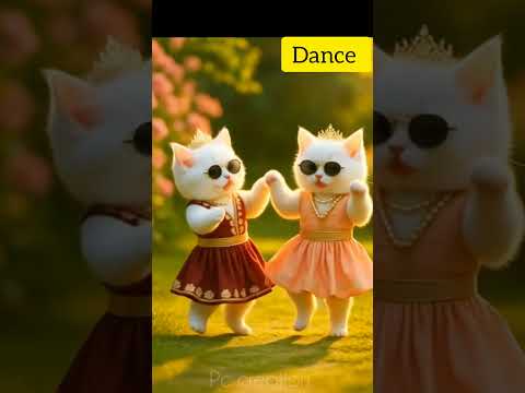 Cat dancing #cat