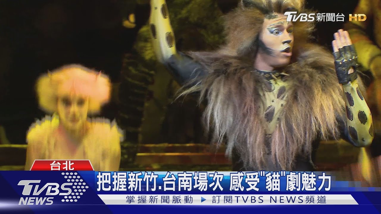 音樂劇《貓》全台掀熱潮！　觀眾藝人直呼感動