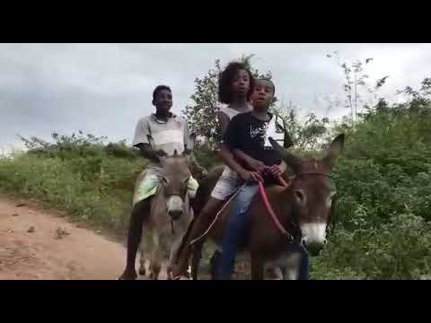 MENOR NICO DE ROLÊ NA ROÇA