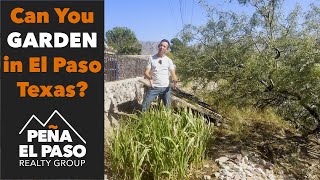Landscaping and Gardening in El Paso Texas | Is It Even POSSIBLE