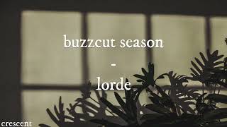 Cover art for Buzzcut Season