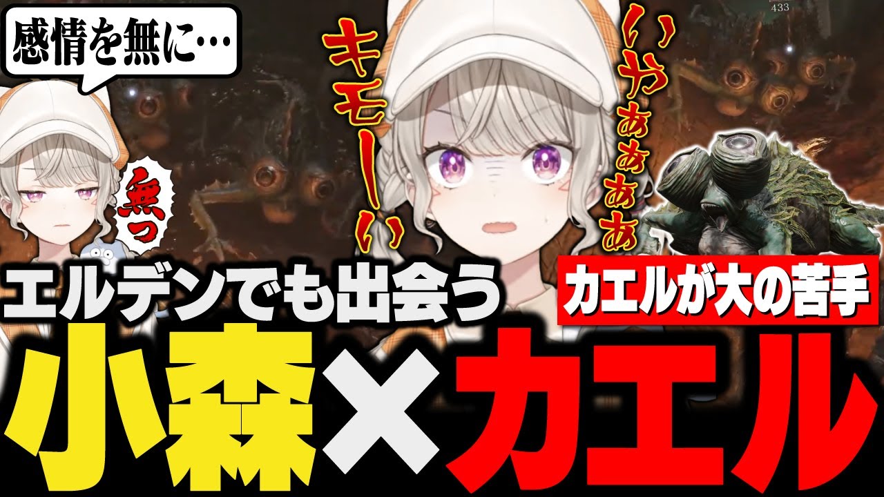 【面白まとめ】エルデンの世界でもカエルに出会いガチ叫びをする小森めと【ぶいすぽ/ELDENRING/エルデンリング/切り抜き/vtuber】