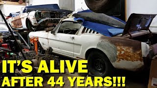 Forgotten 1965 Mustang First Start in 44 Years, Fastback Revival Part 3!