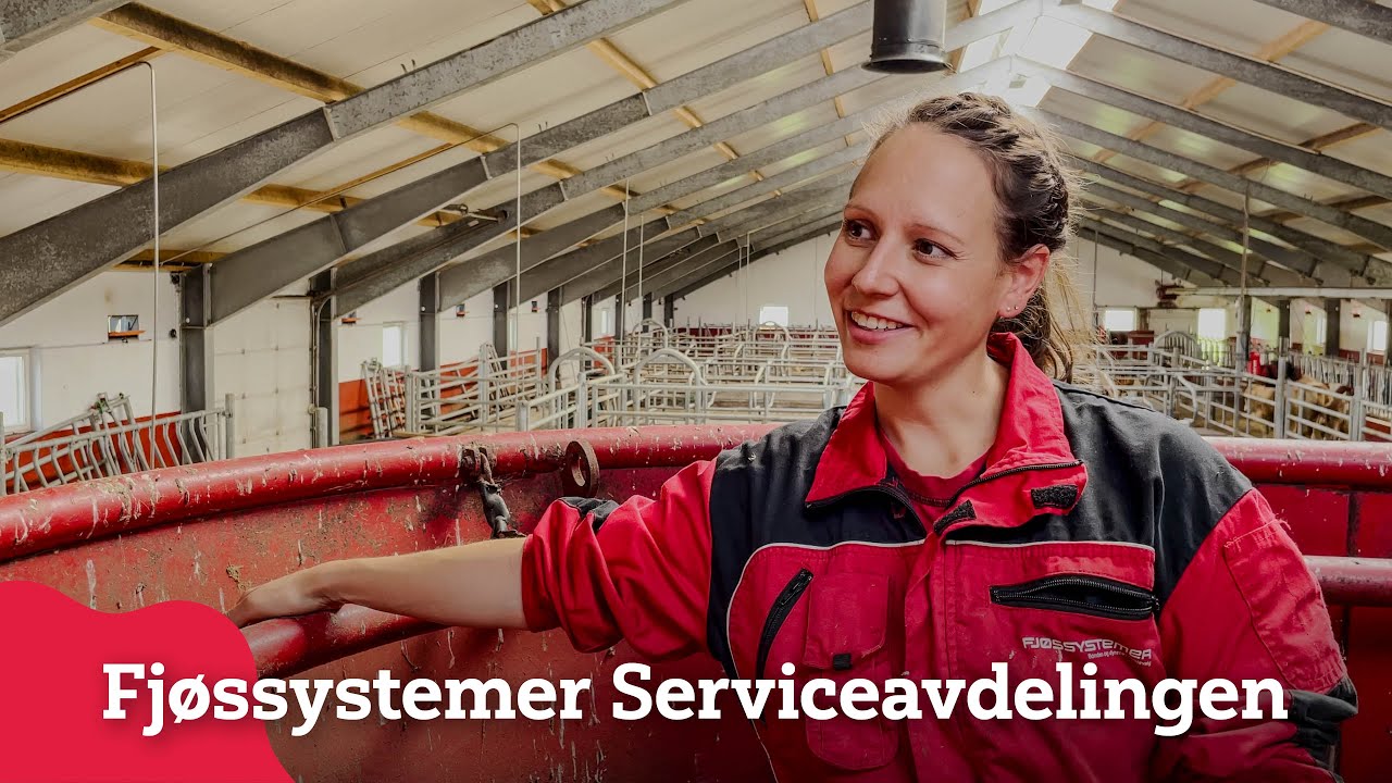 «Ring 02634 og tast 1 for service»