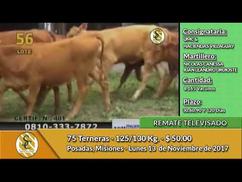13-11-17 - Remate Televisado de UMC & HACIENDAS VILLAGUAY - Posadas