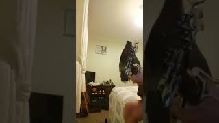 Gerry Cinnamon diamonds in the mud acoustic cover