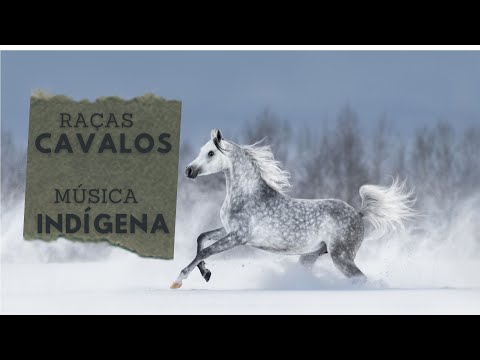 , title : 'Cavalos de Raça ao som de Música indígena'