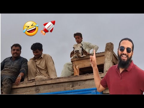 Most Epic And Funniest Unloading Of Rocket Bulls 🚀🤣 | AR Maani