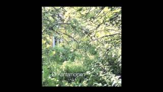 Ø (Mika Vainio) | Kesämaa / Summerland [Sähkö 2005]