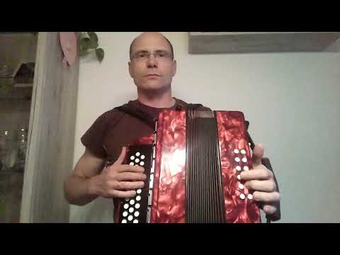 The Wild Rover/ An der Nordseeküste NEU