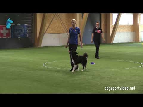 Qualification - Maria Vestling + Windann's Ines/Border Collie - Sweden