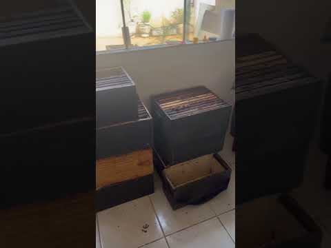 Vídeo Apicultura Borges