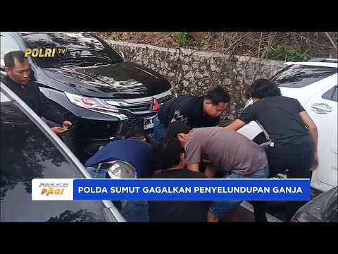 POLDA SUMUT GAGALKAN PEREDARAN 255 KG GANJA ASAL ACEH